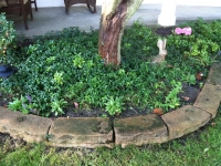hardscape cleaning Oakland County