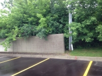 Macomb County Graffiti Removal