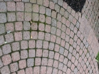 pressure washing company Macomb County