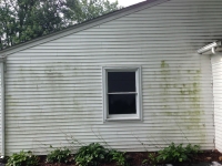 Siding Cleaning  Macomb County, MI