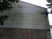 Siding Cleaning  Macomb County