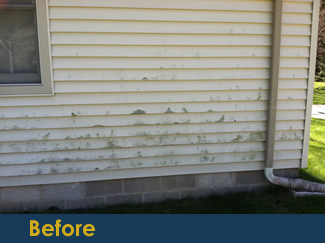 Siding Cleaning Macomb County