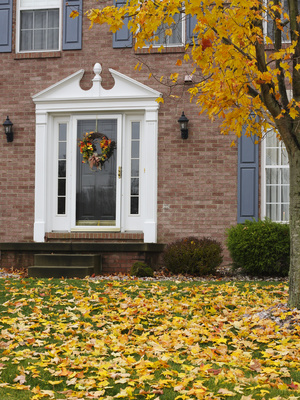 Ferndale Pressure Washing Company to Help with Fall Clean Up